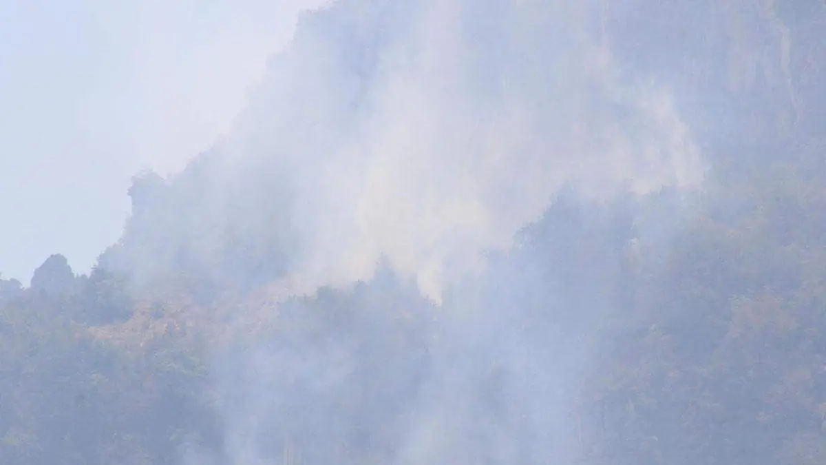 La semana pasada fue la más complicada en cuanto a incendios forestales en los últimos cinco años en Puebla